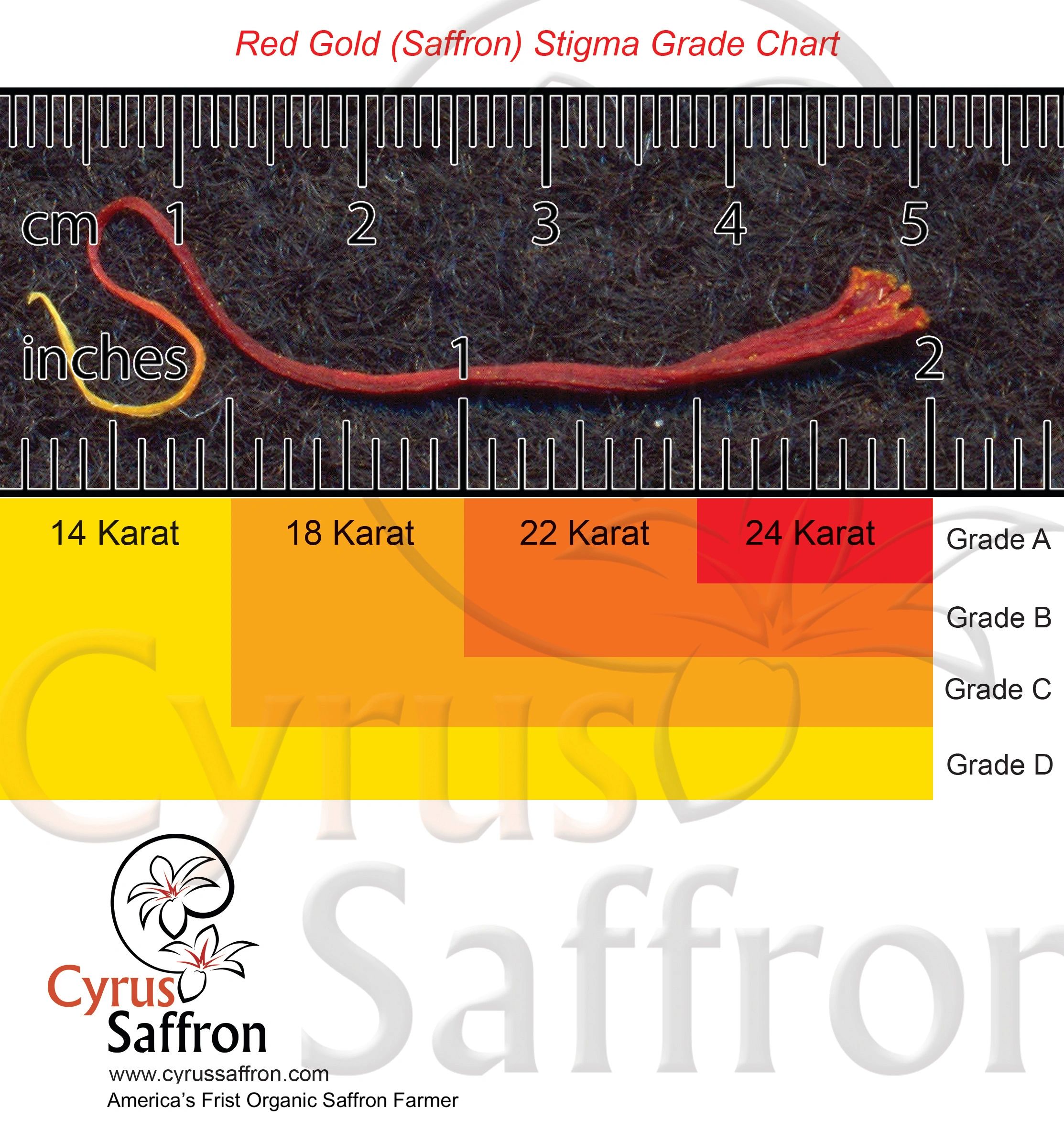 Why Saffron is Worth More Than Gold